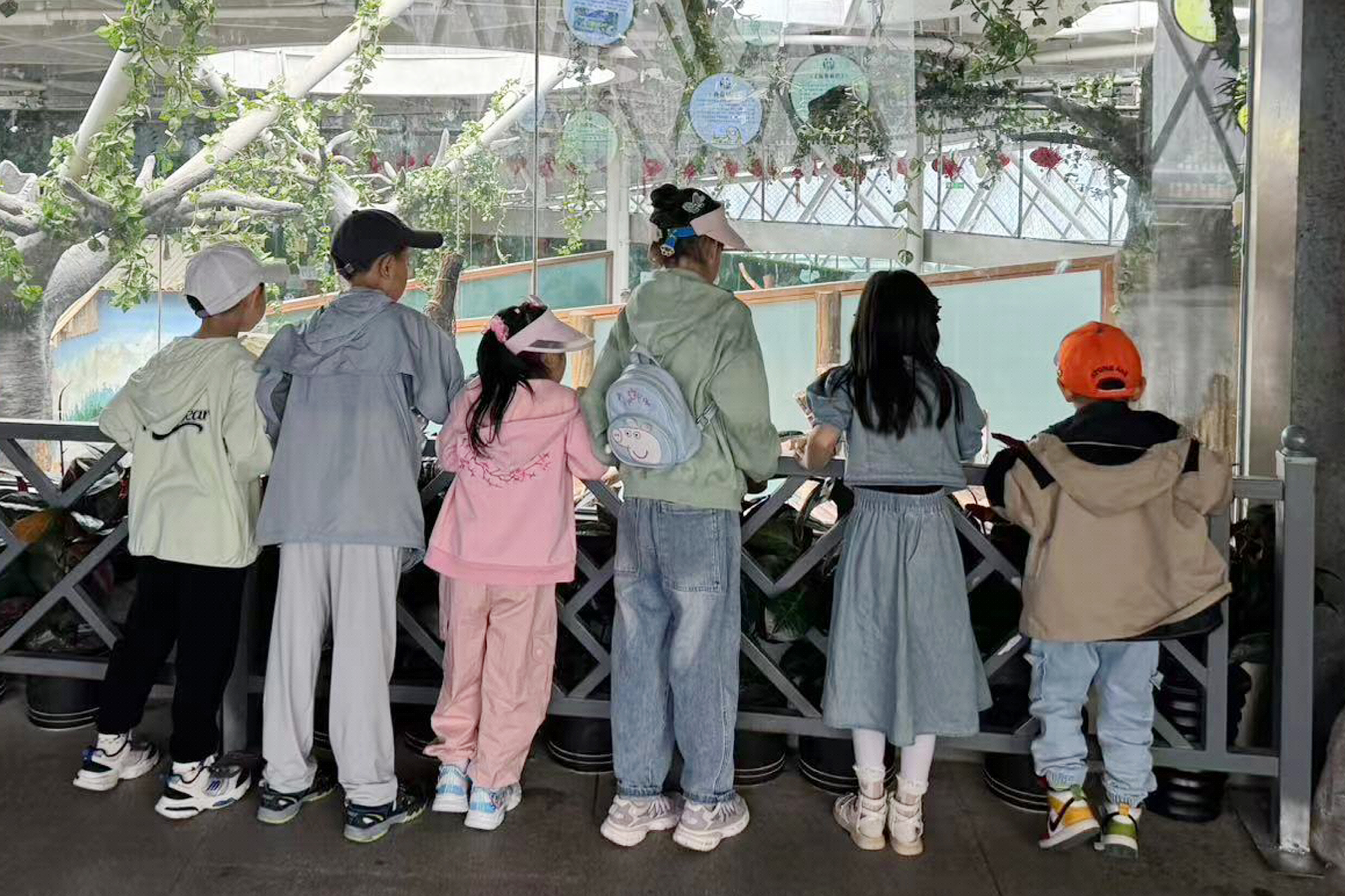 1730858270299369.jpg 參觀動(dòng)物園3.jpg